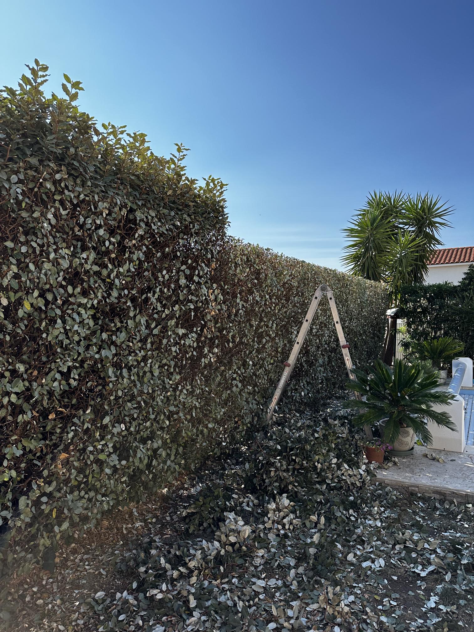 maintenance espaces verts Perpignan