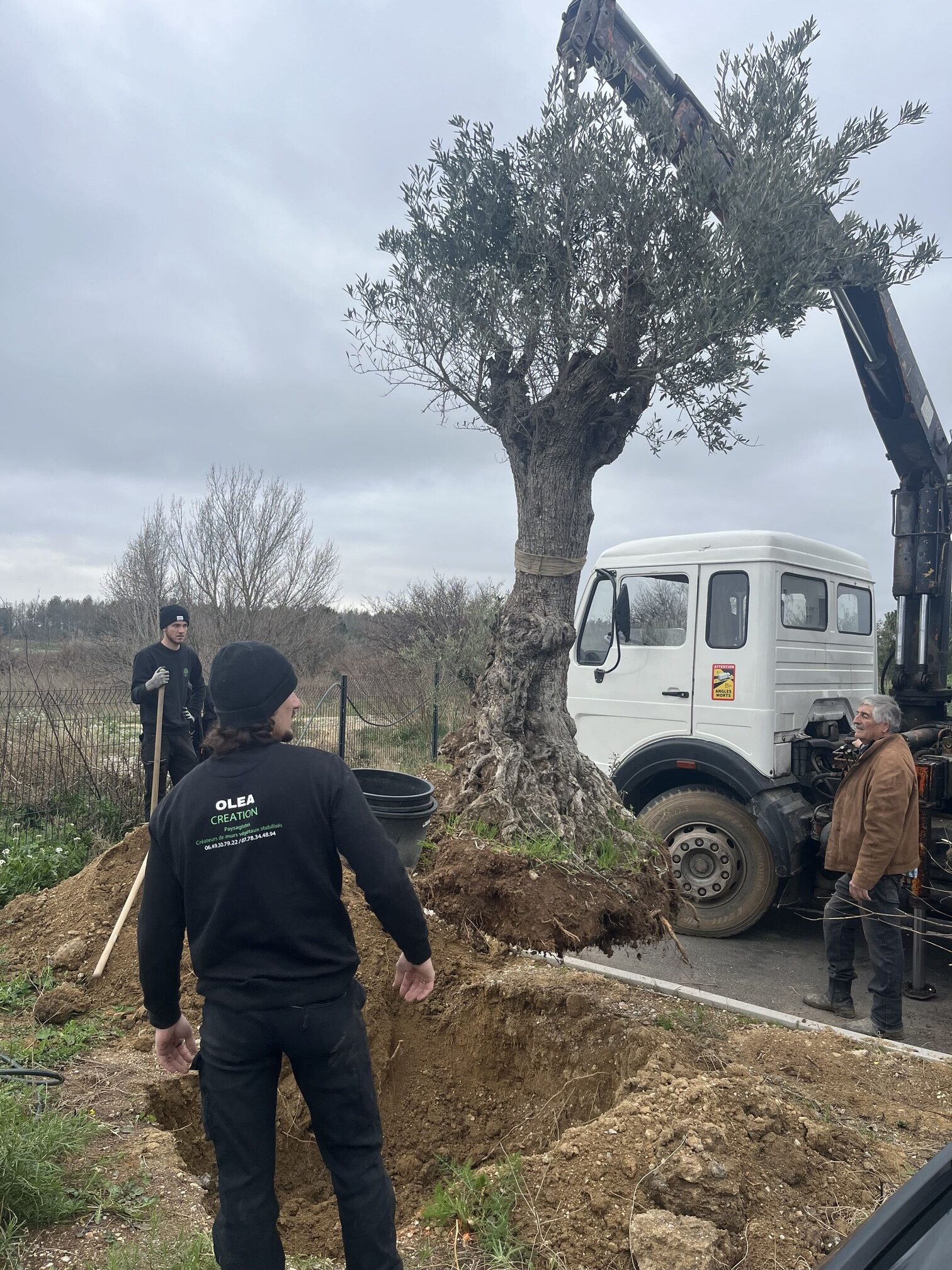 valeurs paysagiste Olea Perpignan créativité respect